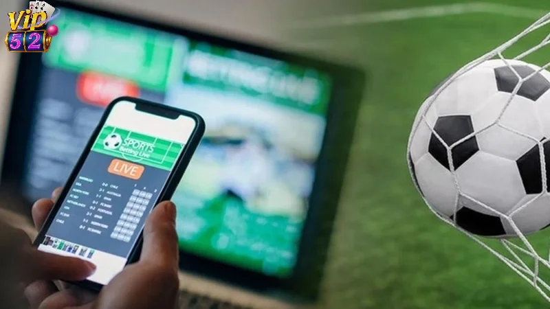 Theo dõi và cá cược các giải đấu với quy mô quốc tế